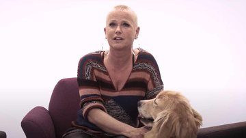 Imagem Xuxa Meneghel faz desabafo sobre Sasha ao falar sobre bullying