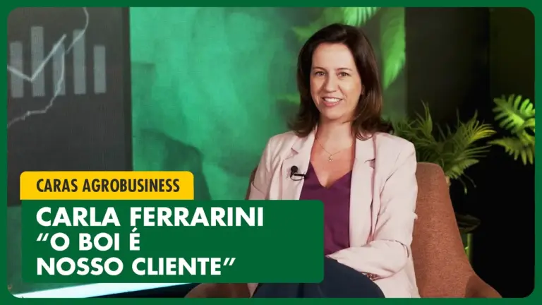 COZINHA DO CAMPO: KARINA AIRES ensina BOLO DE MILHO fácil de fazer!