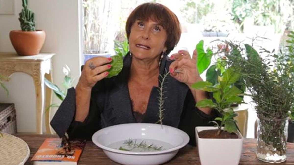 Márcia Sensitiva ensina banho para tirar energias negativas